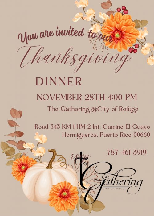 WhatsApp Image 2025-10-25 at 20.50.51